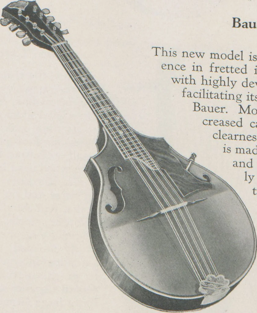 An illustration from Musical merchandise catalog / The Vega Co, 1920, leaf 66