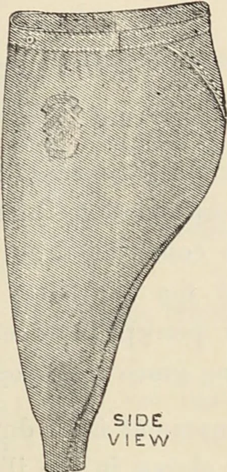 An illustration from Illustrated catalogue of the Dr. Jaeger's Sanitary Woolen System Co. : sole importers and exclusive manufacturers of all goods constructed under and pertaining to the Sanitary System of Dr. Gustav Jaeger : wholesale, retail, warerooms, 1889, leaf 33