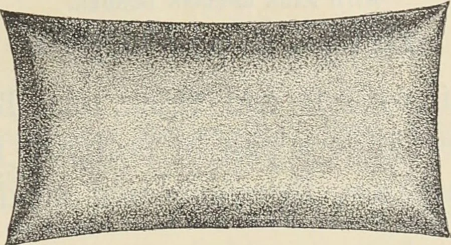An illustration from Illustrated catalogue of the Dr. Jaeger's Sanitary Woolen System Co. : sole importers and exclusive manufacturers of all goods constructed under and pertaining to the Sanitary System of Dr. Gustav Jaeger : wholesale, retail, warerooms, 1889, leaf 51