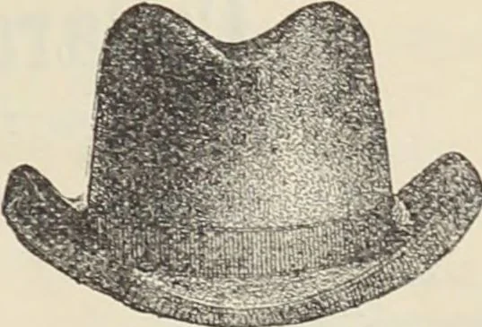 An illustration from Illustrated catalogue of the Dr. Jaeger's Sanitary Woolen System Co. : sole importers and exclusive manufacturers of all goods constructed under and pertaining to the Sanitary System of Dr. Gustav Jaeger : wholesale, retail, warerooms, 1889, leaf 65