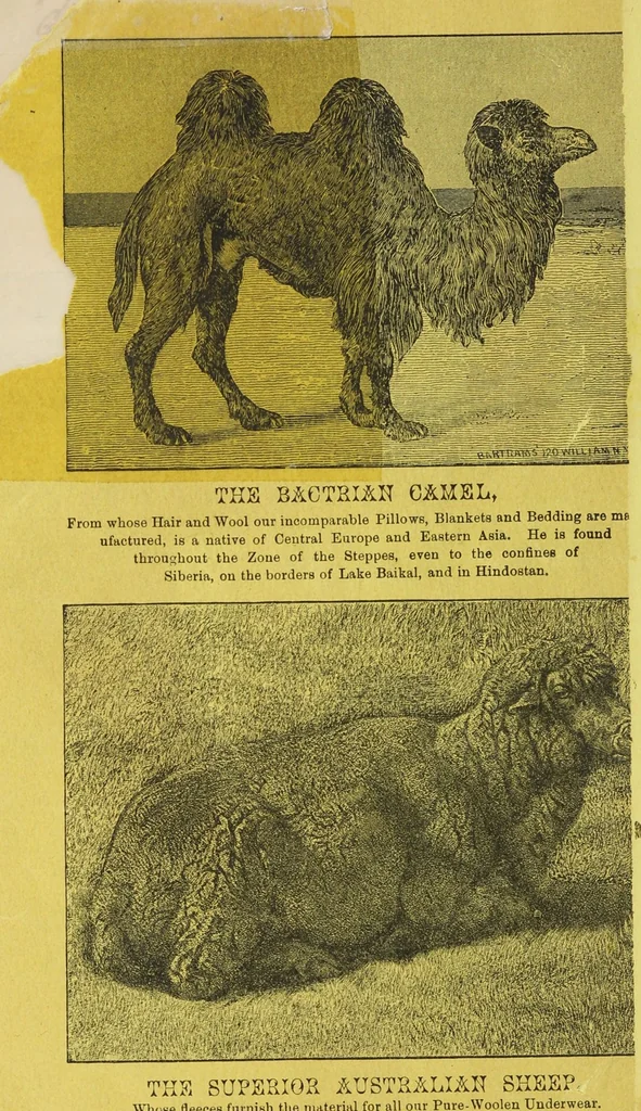 An illustration from Illustrated catalogue of the Dr. Jaeger's Sanitary Woolen System Co. : sole importers and exclusive manufacturers of all goods constructed under and pertaining to the Sanitary System of Dr. Gustav Jaeger : wholesale, retail, warerooms, 1889, leaf 78