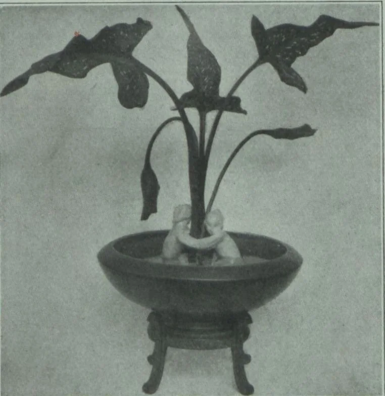 An illustration from Rookwood bowls / the Rookwood Pottery Company, 1900, leaf 6