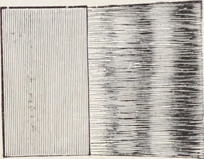 An illustration from Viuda de E. Texidor : Articulos para dibujo, pintura y arquitectura : suplemento al catálogo general, 1910, leaf 188