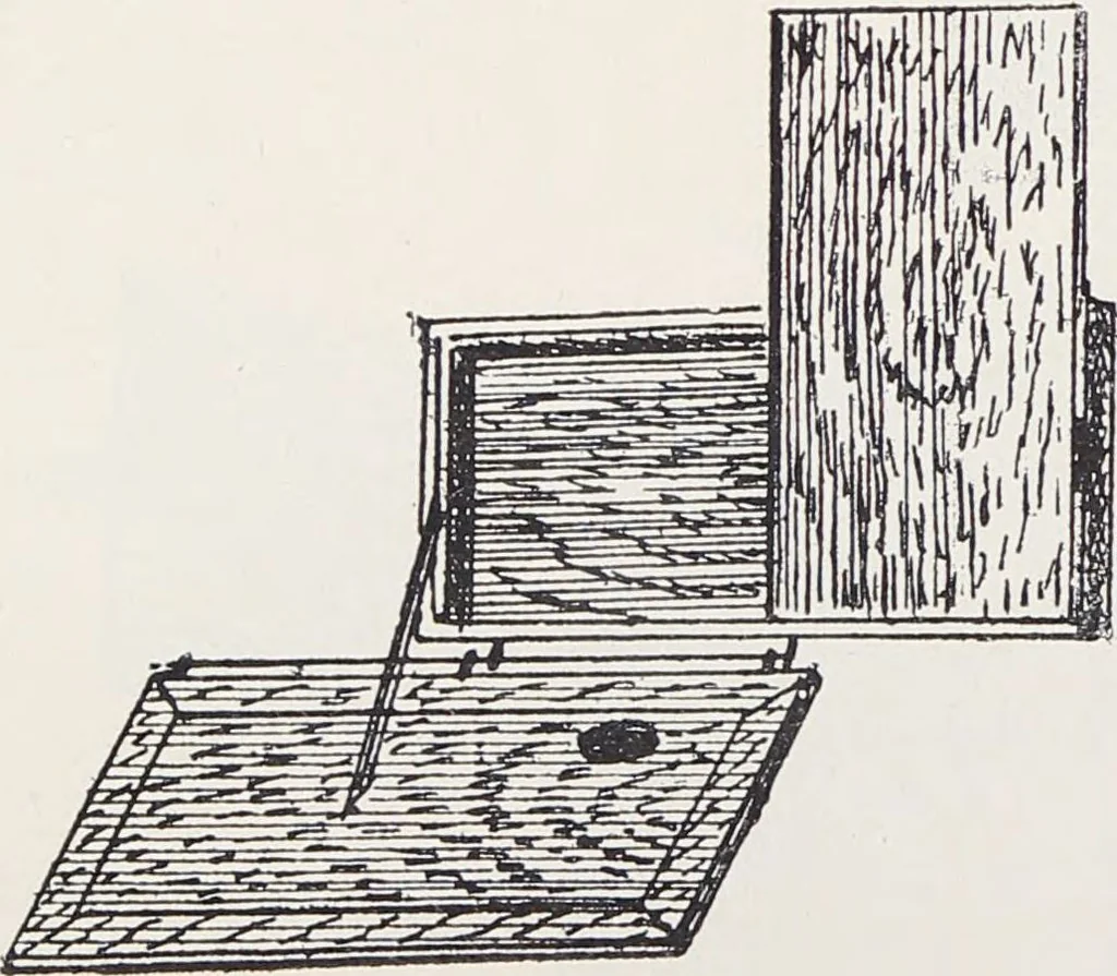 An illustration from Viuda de E. Texidor : Articulos para dibujo, pintura y arquitectura : suplemento al catálogo general, 1910, leaf 48