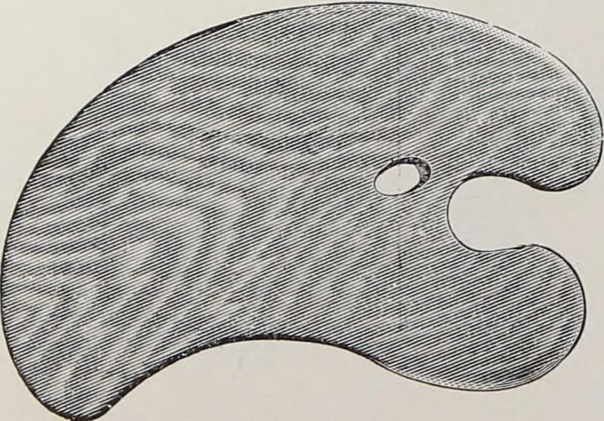 An illustration from Viuda de E. Texidor : Articulos para dibujo, pintura y arquitectura : suplemento al catálogo general, 1910, leaf 50