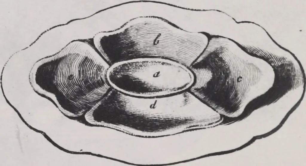 An illustration from Liste des divers articles du porcelaine de la reine, avec dessins gravés, pour montrer la forme de chacune, fabriqués par Josiah Wedgwood, potier à Sa Majesté, à Etruria, Angleterre, leaf 13