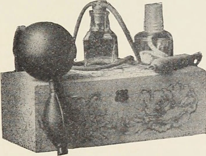 An illustration from Bloomingdales : Diary 1910 and catalog, giving prices and details of high grade merchandise and various other interesting information / Bloomingdale Bros., 1910, leaf 105