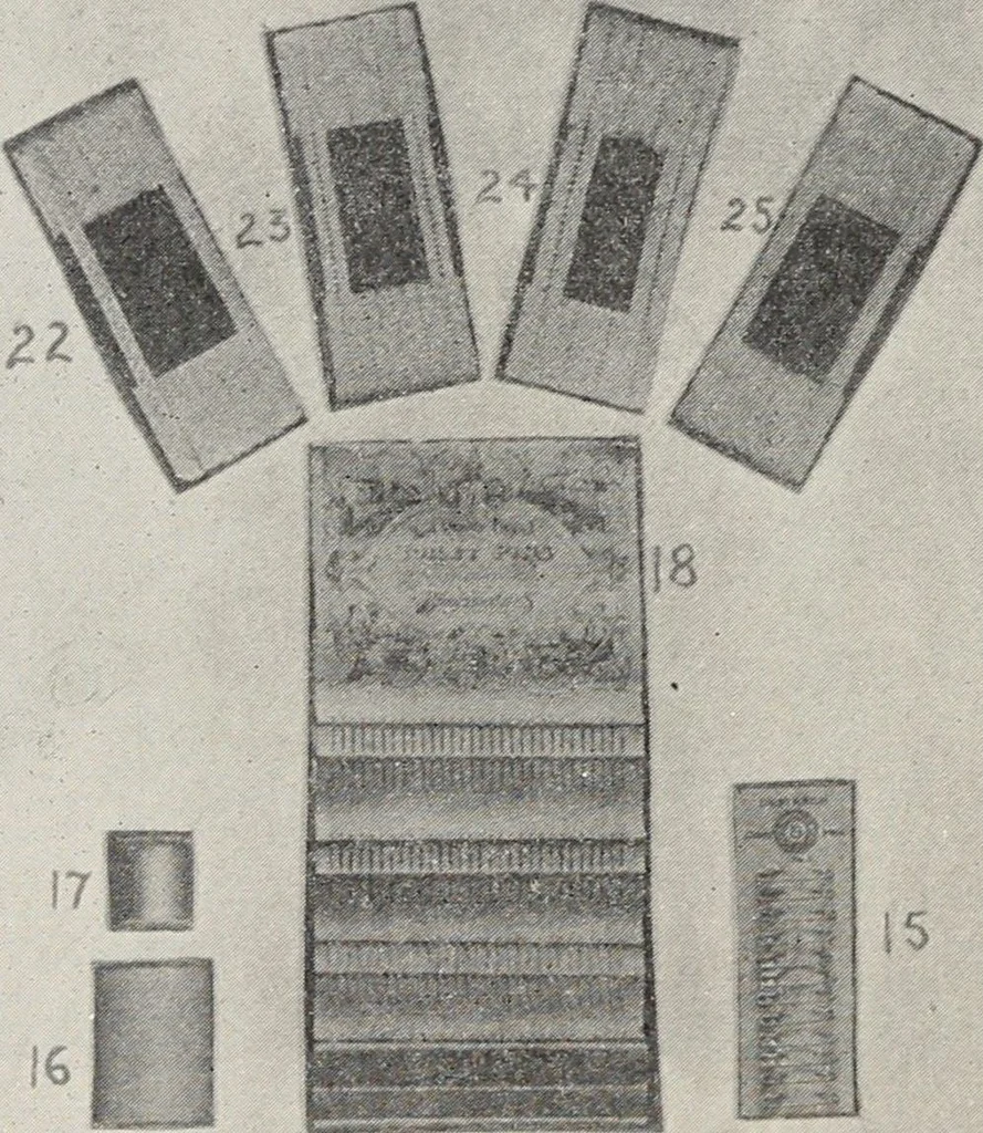An illustration from Bloomingdales : Diary 1910 and catalog, giving prices and details of high grade merchandise and various other interesting information / Bloomingdale Bros., 1910, leaf 110