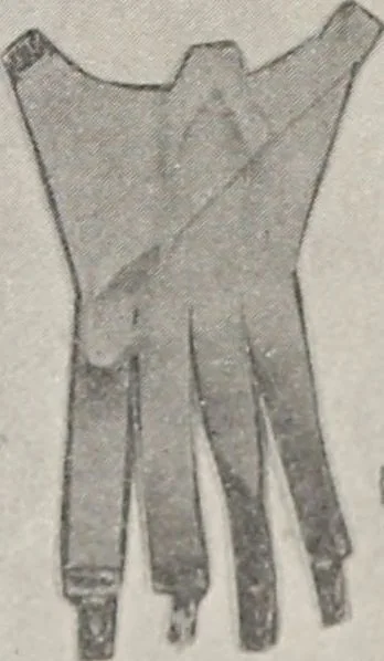 An illustration from Bloomingdales : Diary 1910 and catalog, giving prices and details of high grade merchandise and various other interesting information / Bloomingdale Bros., 1910, leaf 110