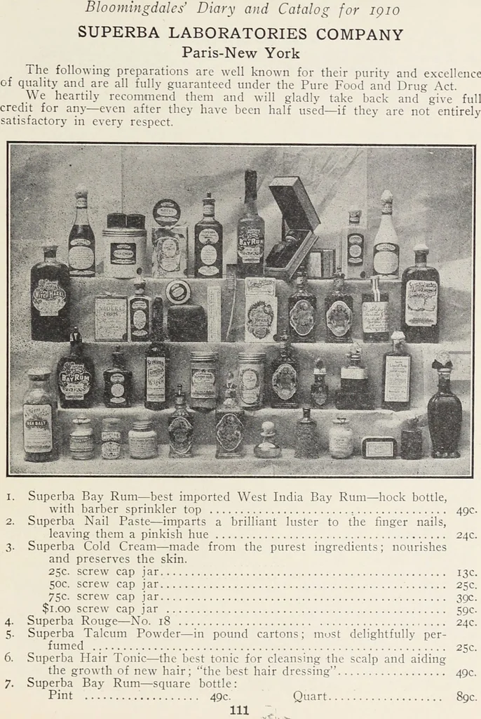 An illustration from Bloomingdales : Diary 1910 and catalog, giving prices and details of high grade merchandise and various other interesting information / Bloomingdale Bros., 1910, leaf 113