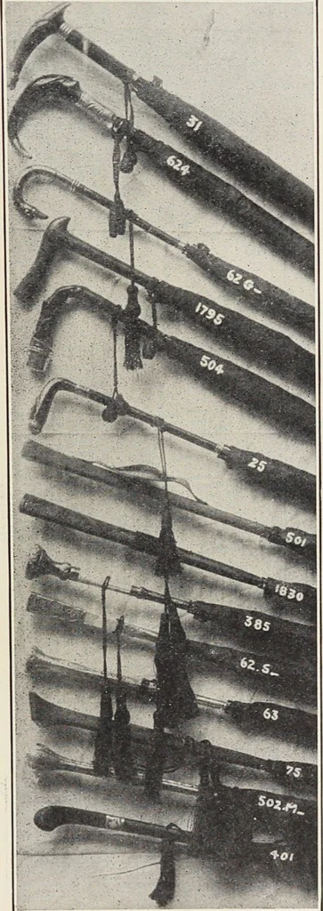 An illustration from Bloomingdales : Diary 1910 and catalog, giving prices and details of high grade merchandise and various other interesting information / Bloomingdale Bros., 1910, leaf 123