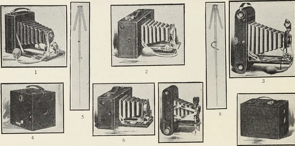 An illustration from Bloomingdales : Diary 1910 and catalog, giving prices and details of high grade merchandise and various other interesting information / Bloomingdale Bros., 1910, leaf 132
