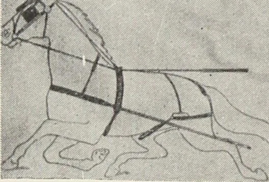 An illustration from Bloomingdales : Diary 1910 and catalog, giving prices and details of high grade merchandise and various other interesting information / Bloomingdale Bros., 1910, leaf 146