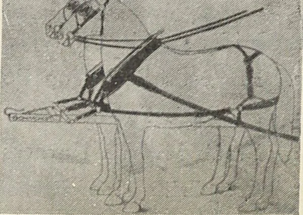 An illustration from Bloomingdales : Diary 1910 and catalog, giving prices and details of high grade merchandise and various other interesting information / Bloomingdale Bros., 1910, leaf 146