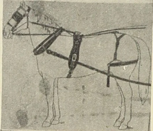 An illustration from Bloomingdales : Diary 1910 and catalog, giving prices and details of high grade merchandise and various other interesting information / Bloomingdale Bros., 1910, leaf 146