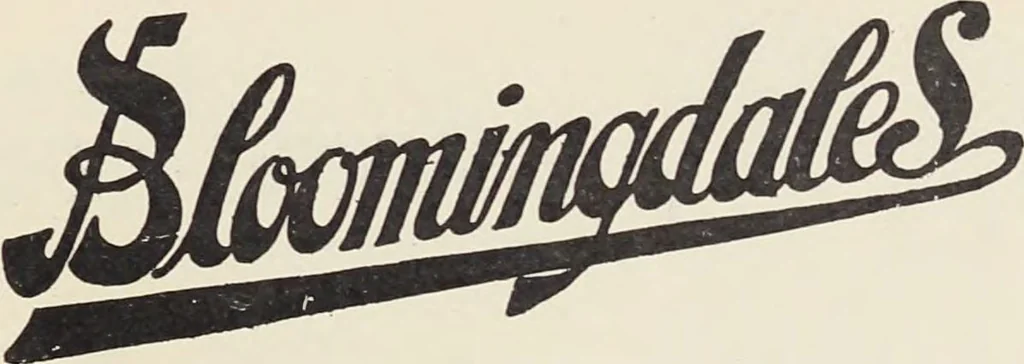 An illustration from Bloomingdales : Diary 1910 and catalog, giving prices and details of high grade merchandise and various other interesting information / Bloomingdale Bros., 1910, leaf 3
