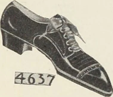 An illustration from Bloomingdales : Diary 1910 and catalog, giving prices and details of high grade merchandise and various other interesting information / Bloomingdale Bros., 1910, leaf 59