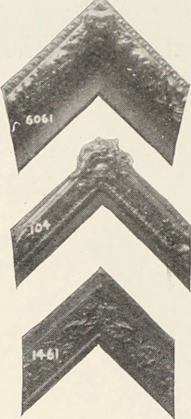 An illustration from Bloomingdales : Diary 1910 and catalog, giving prices and details of high grade merchandise and various other interesting information / Bloomingdale Bros., 1910, leaf 92