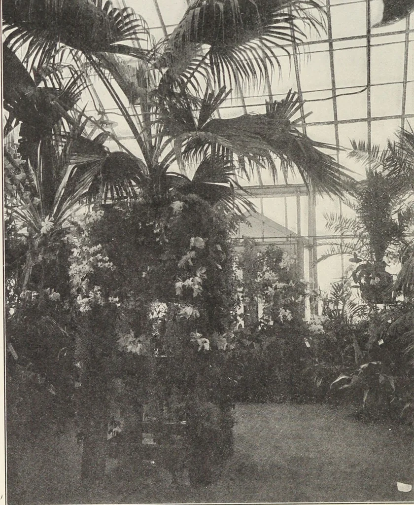 An illustration from Bloomingdales : Diary 1910 and catalog, giving prices and details of high grade merchandise and various other interesting information / Bloomingdale Bros., 1910, leaf 96