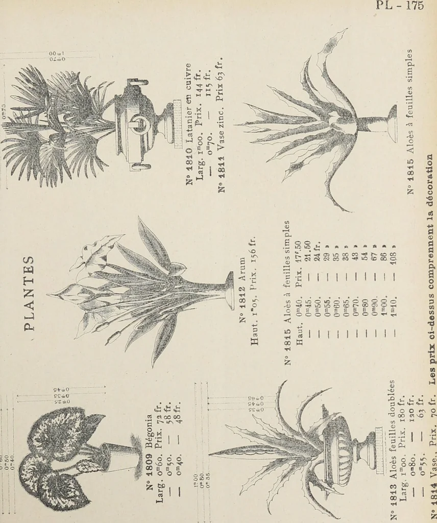 An illustration from Ornements d'architecture / Bonfils & Laval, 1901, leaf 191