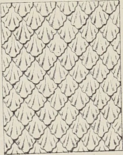 An illustration from Ornements d'architecture / Bonfils & Laval, 1901, leaf 323