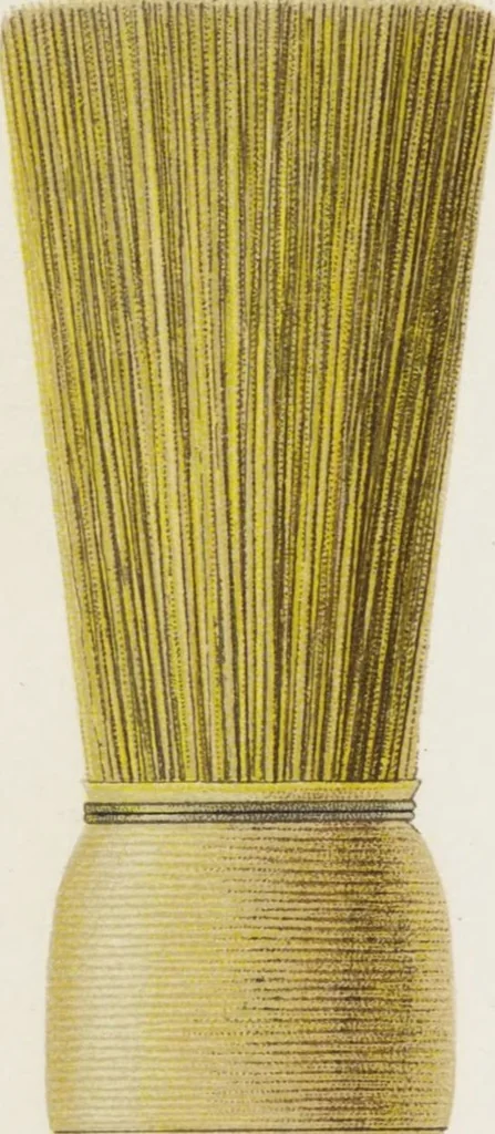 An illustration from Vereinigte Pinsel-Fabriken Nürnberg : Preis-Liste, 1904, leaf 129