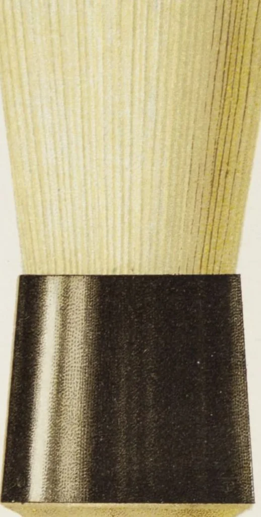 An illustration from Vereinigte Pinsel-Fabriken Nürnberg : Preis-Liste, 1904, leaf 134