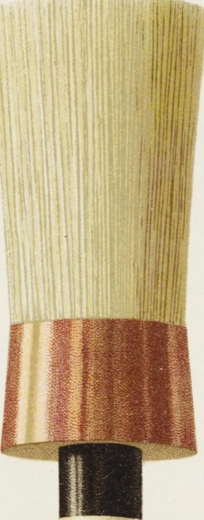 An illustration from Vereinigte Pinsel-Fabriken Nürnberg : Preis-Liste, 1904, leaf 137