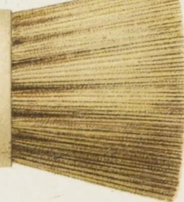 An illustration from Vereinigte Pinsel-Fabriken Nürnberg : Preis-Liste, 1904, leaf 162