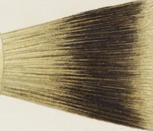 An illustration from Vereinigte Pinsel-Fabriken Nürnberg : Preis-Liste, 1904, leaf 208
