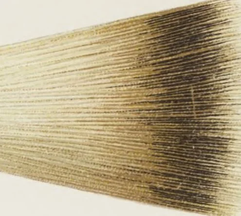 An illustration from Vereinigte Pinsel-Fabriken Nürnberg : Preis-Liste, 1904, leaf 74