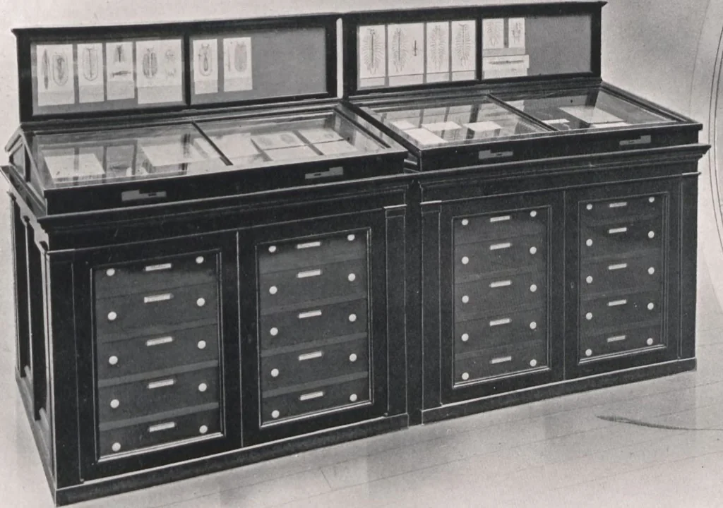 An illustration from General catalogue of show cases, fittings, book cases, stands &c., executed for H.M. Government at the British & Natural History museums, 1907, leaf 101