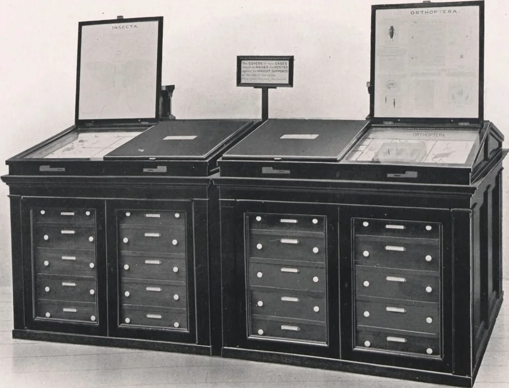 An illustration from General catalogue of show cases, fittings, book cases, stands &c., executed for H.M. Government at the British & Natural History museums, 1907, leaf 103