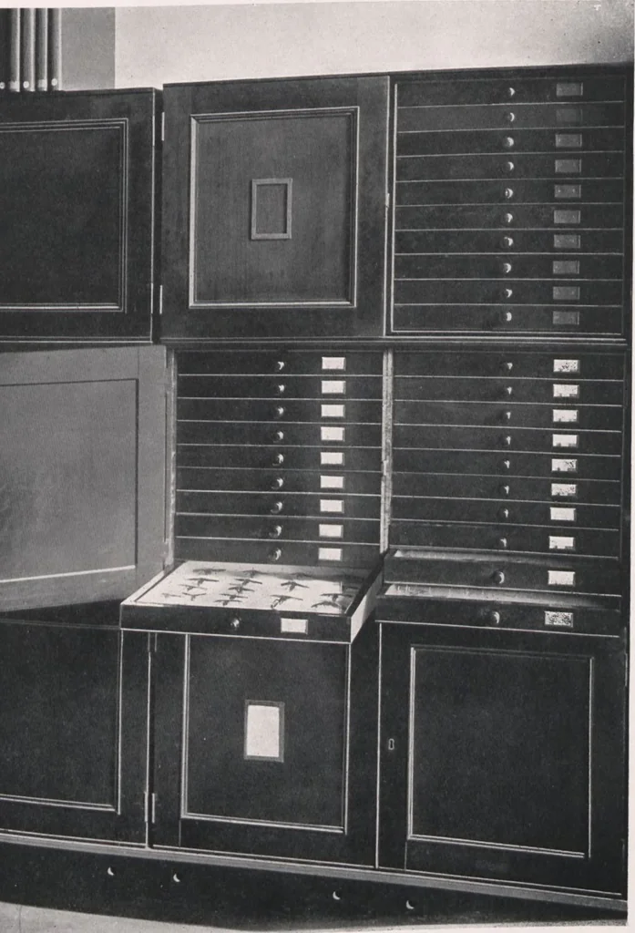 An illustration from General catalogue of show cases, fittings, book cases, stands &c., executed for H.M. Government at the British & Natural History museums, 1907, leaf 105