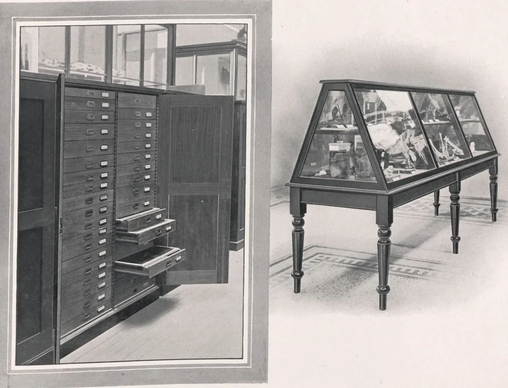 An illustration from General catalogue of show cases, fittings, book cases, stands &c., executed for H.M. Government at the British & Natural History museums, 1907, leaf 107