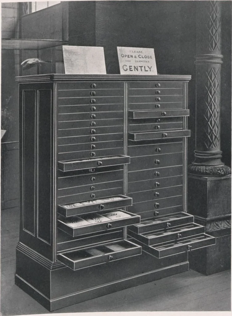 An illustration from General catalogue of show cases, fittings, book cases, stands &c., executed for H.M. Government at the British & Natural History museums, 1907, leaf 109