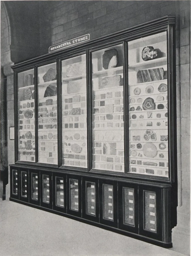An illustration from General catalogue of show cases, fittings, book cases, stands &c., executed for H.M. Government at the British & Natural History museums, 1907, leaf 115