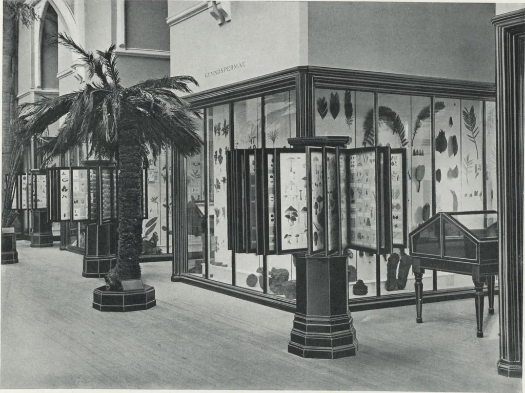 An illustration from General catalogue of show cases, fittings, book cases, stands &c., executed for H.M. Government at the British & Natural History museums, 1907, leaf 35