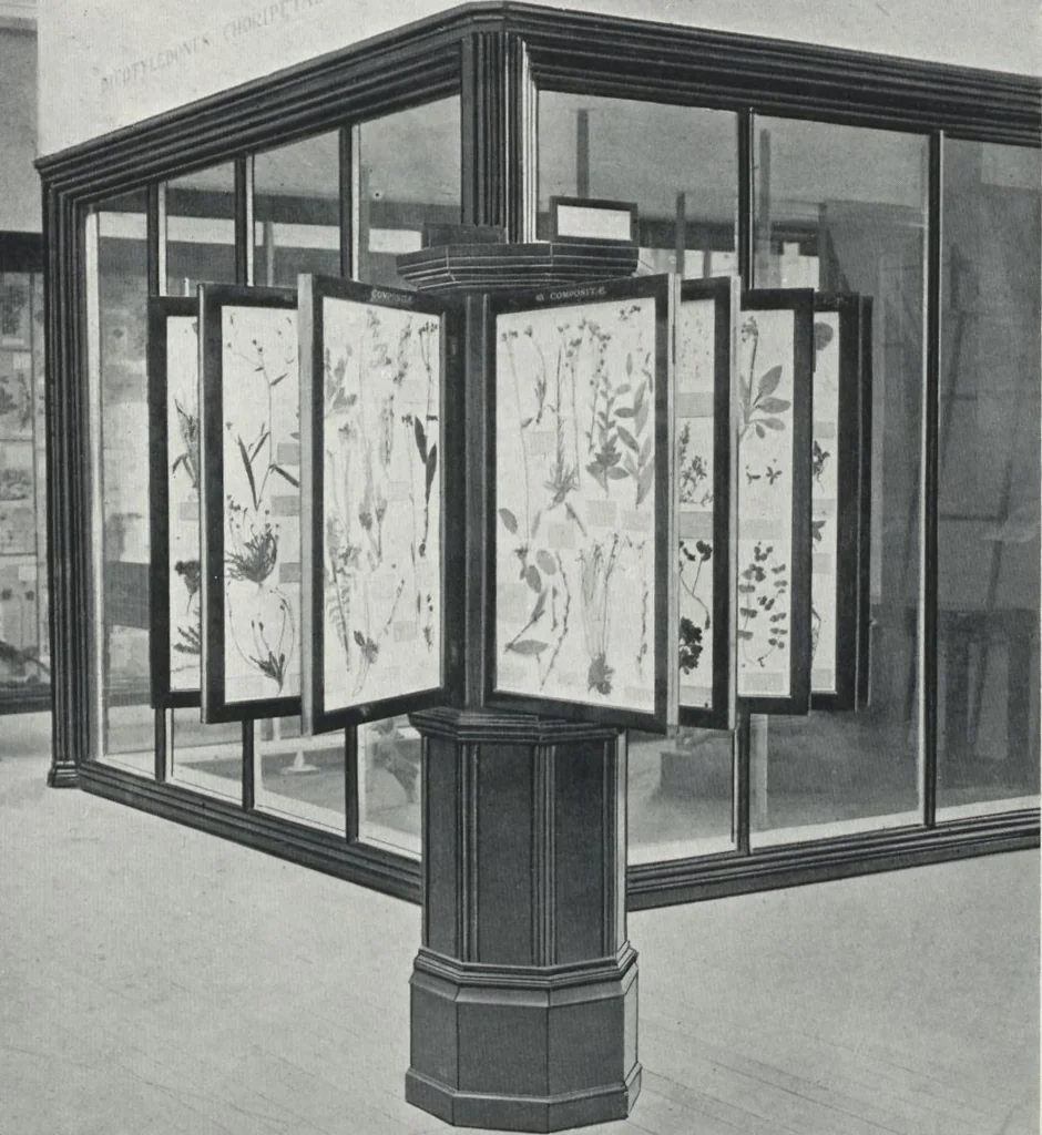 An illustration from General catalogue of show cases, fittings, book cases, stands &c., executed for H.M. Government at the British & Natural History museums, 1907, leaf 37