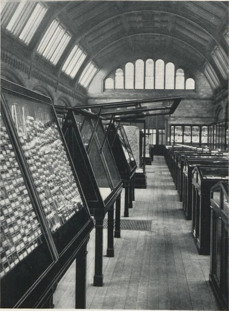 An illustration from General catalogue of show cases, fittings, book cases, stands &c., executed for H.M. Government at the British & Natural History museums, 1907, leaf 41