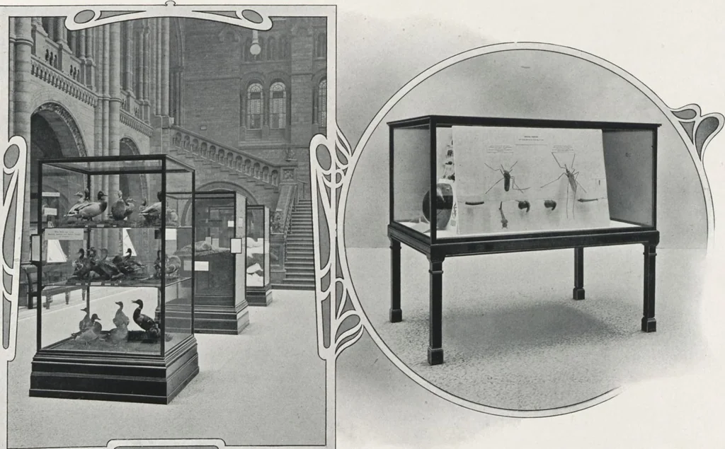 An illustration from General catalogue of show cases, fittings, book cases, stands &c., executed for H.M. Government at the British & Natural History museums, 1907, leaf 45