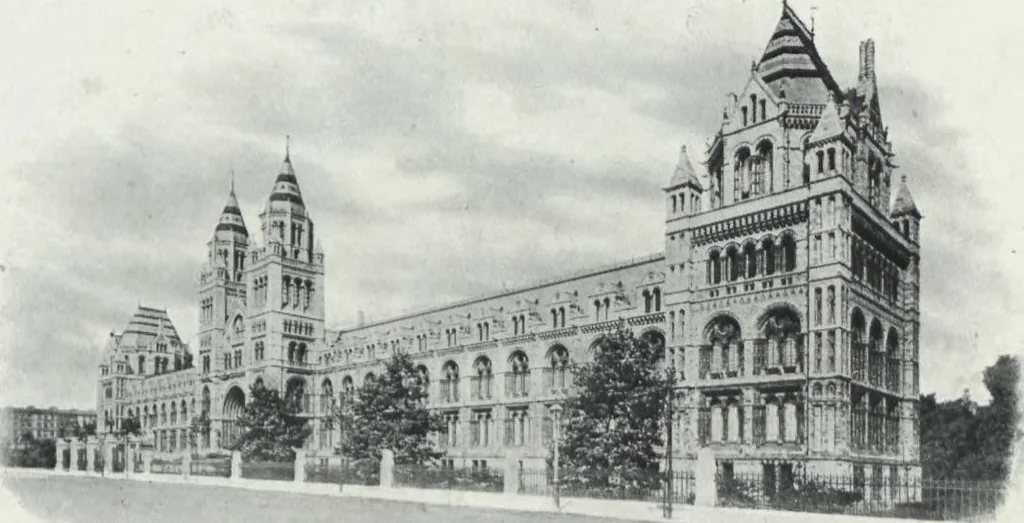 An illustration from General catalogue of show cases, fittings, book cases, stands &c., executed for H.M. Government at the British & Natural History museums, 1907, leaf 7