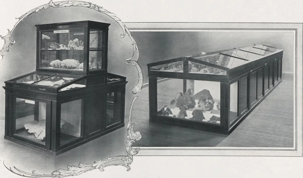 An illustration from General catalogue of show cases, fittings, book cases, stands &c., executed for H.M. Government at the British & Natural History museums, 1907, leaf 87