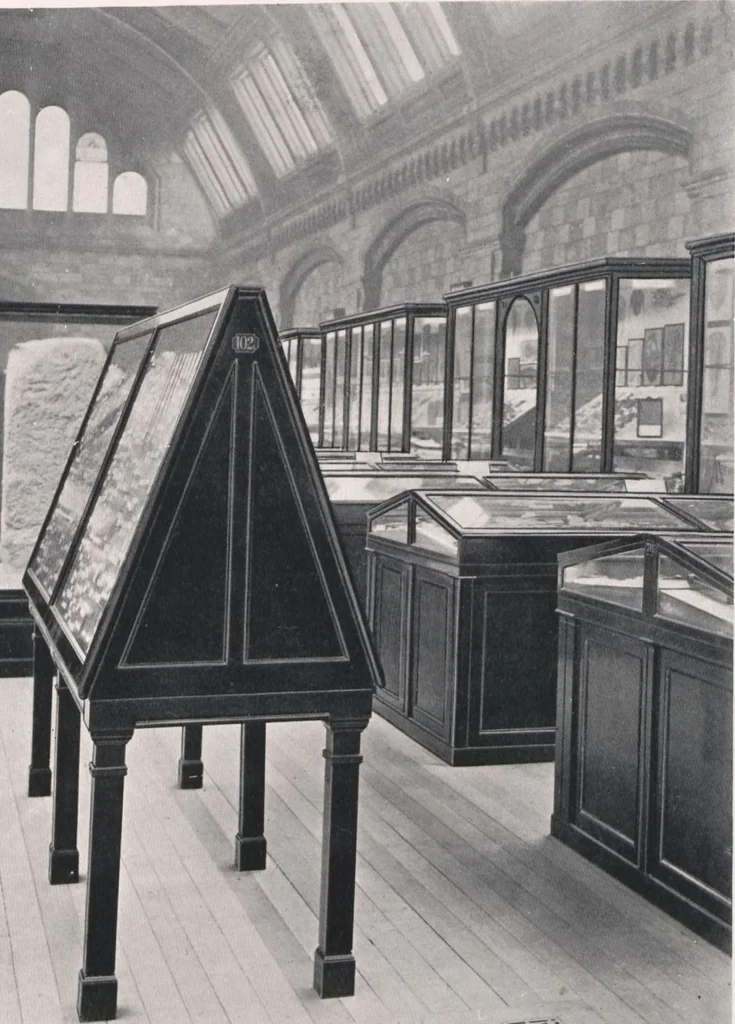 An illustration from General catalogue of show cases, fittings, book cases, stands &c., executed for H.M. Government at the British & Natural History museums, 1907, leaf 93
