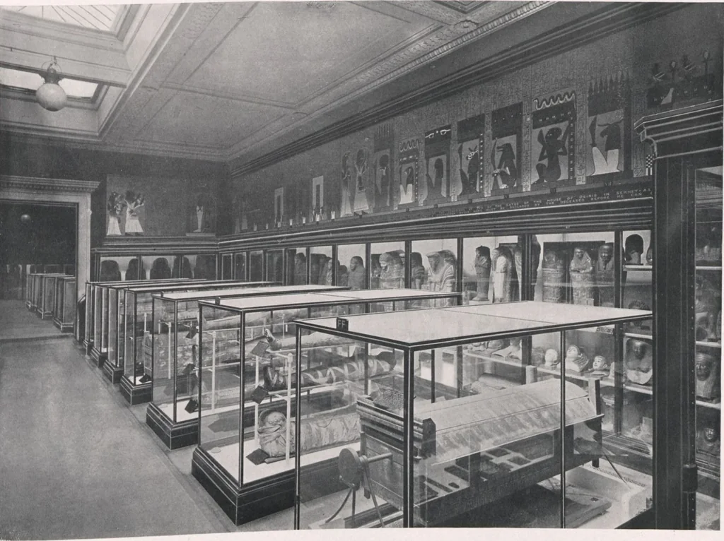An illustration from General catalogue of show cases, fittings, book cases, stands &c., executed for H.M. Government at the British & Natural History museums, 1907, leaf 99