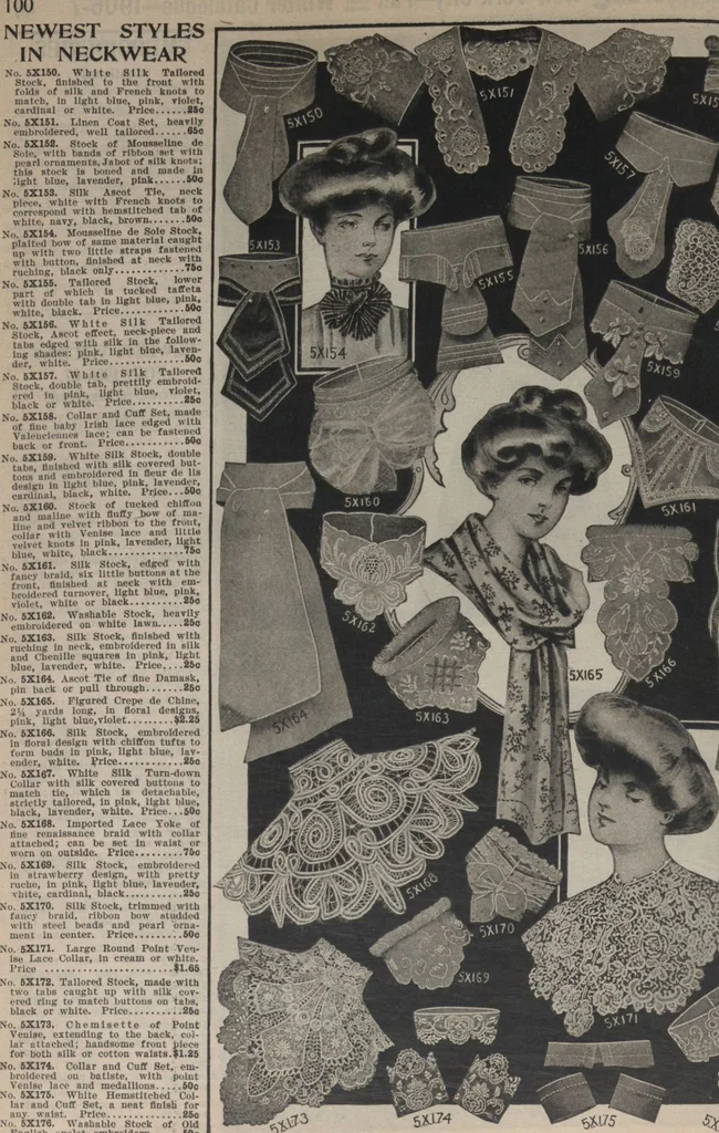 An illustration from New York City's latest fall and winter styles for 1906-1907 : catalogue no. 42 / Siegel Cooper Co, 1906, leaf 102