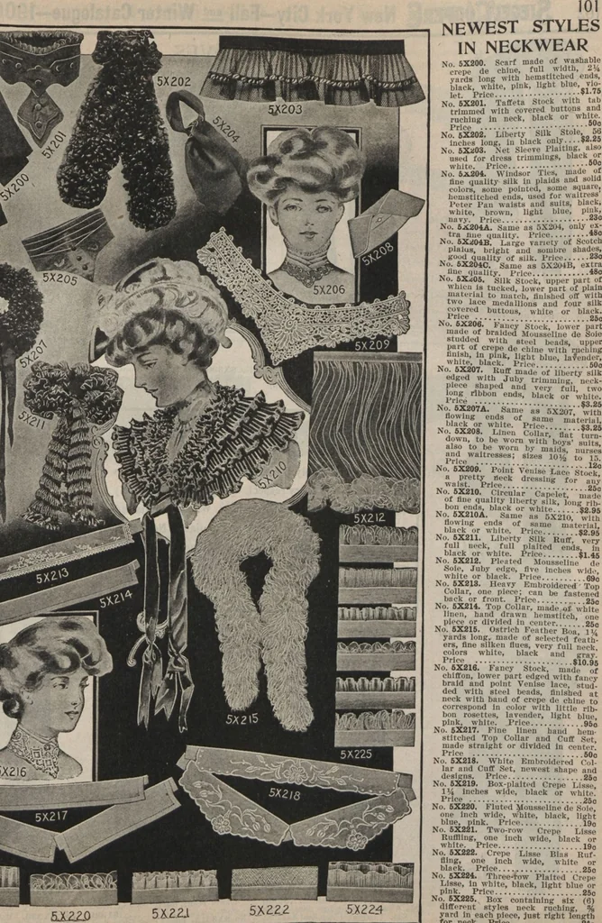 An illustration from New York City's latest fall and winter styles for 1906-1907 : catalogue no. 42 / Siegel Cooper Co, 1906, leaf 103