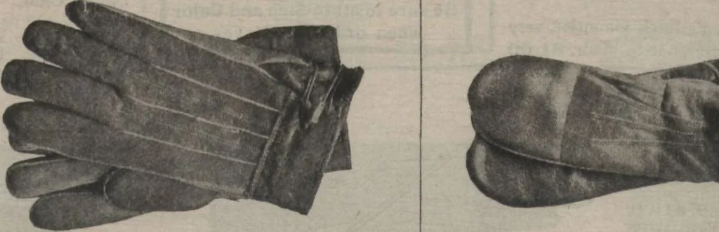 An illustration from New York City's latest fall and winter styles for 1906-1907 : catalogue no. 42 / Siegel Cooper Co, 1906, leaf 106