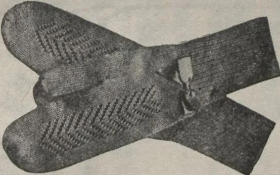 An illustration from New York City's latest fall and winter styles for 1906-1907 : catalogue no. 42 / Siegel Cooper Co, 1906, leaf 107