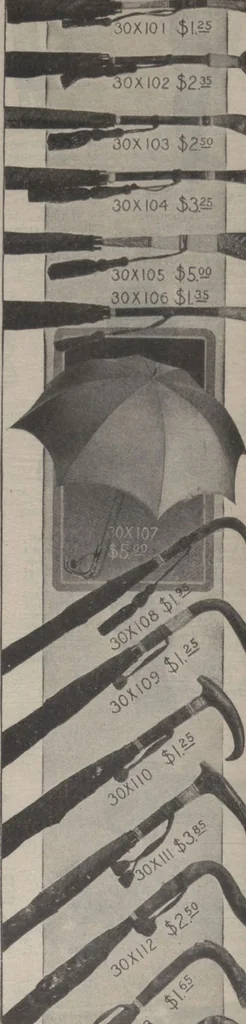 An illustration from New York City's latest fall and winter styles for 1906-1907 : catalogue no. 42 / Siegel Cooper Co, 1906, leaf 116